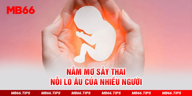 Nằm mơ sảy thai - nỗi lo âu của nhiều người