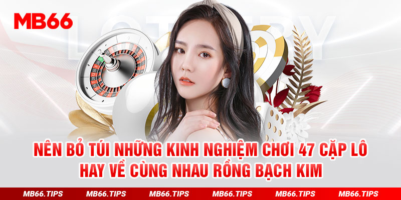 Nên bỏ túi những kinh nghiệm chơi 47 cặp lô hay về cùng nhau Rồng Bạch Kim