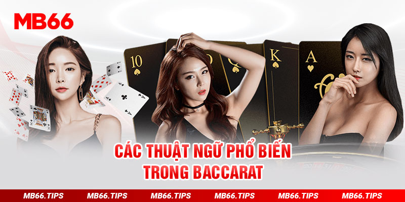 Các thuật ngữ phổ biến trong baccarat