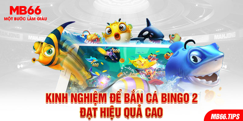 Kinh nghiệm để Bắn cá Bingo 2 đạt hiệu quả cao