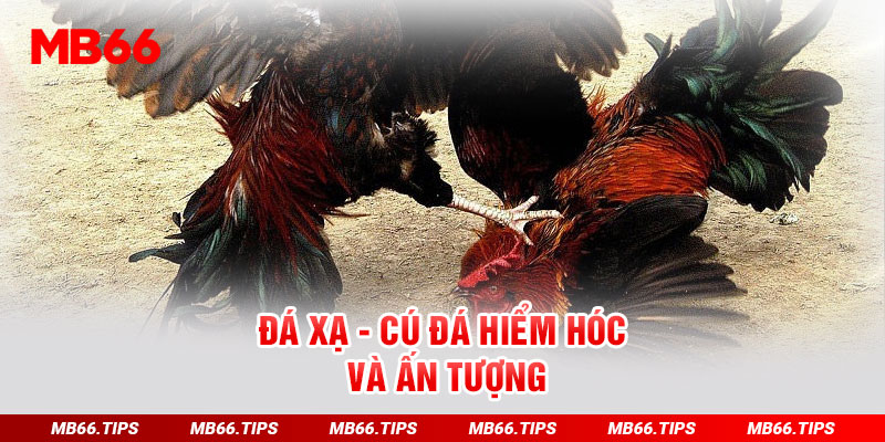 Đá Xạ - Cú đá hiểm hóc và ấn tượng