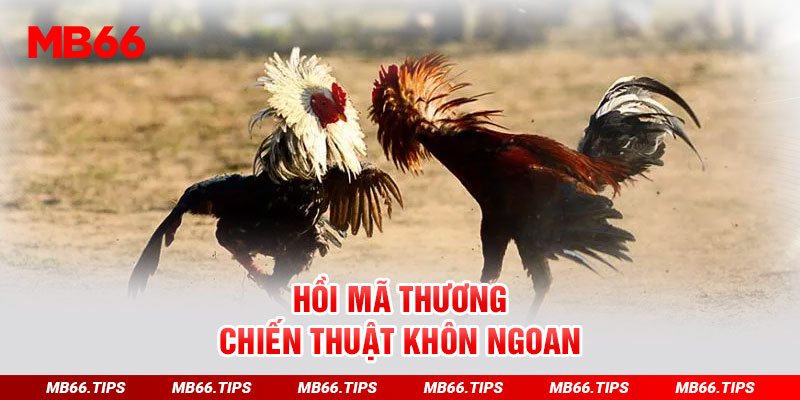 Hồi mã thương - chiến thuật khôn ngoan