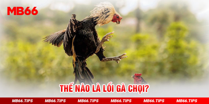 Thế nào là lối gà chọi?