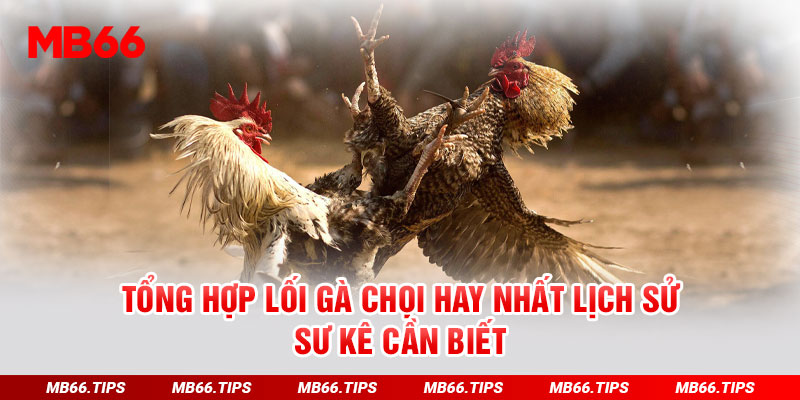 Tổng Hợp Lối Gà Chọi Hay Nhất Lịch Sử Tại Nhà Cái MB66