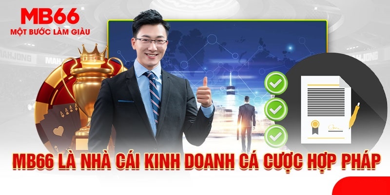 Nhà Cái MB66 Lừa Đảo - Giải Đáp Bí Ẩn Đằng Sau Tin Đồn